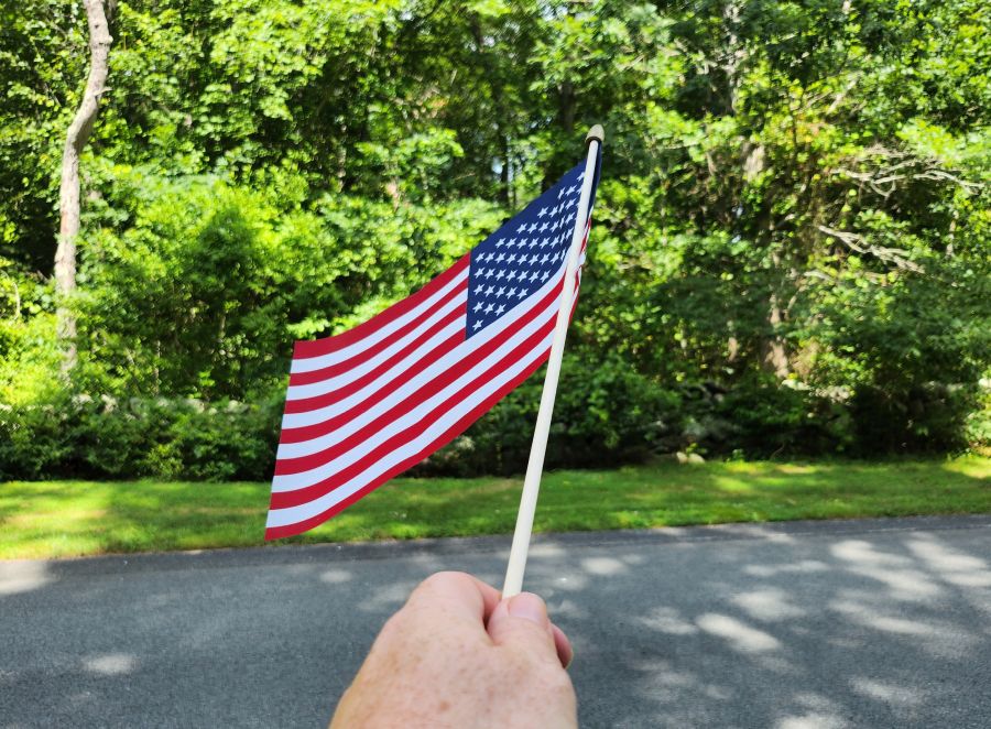 Flag Pointing at Forest